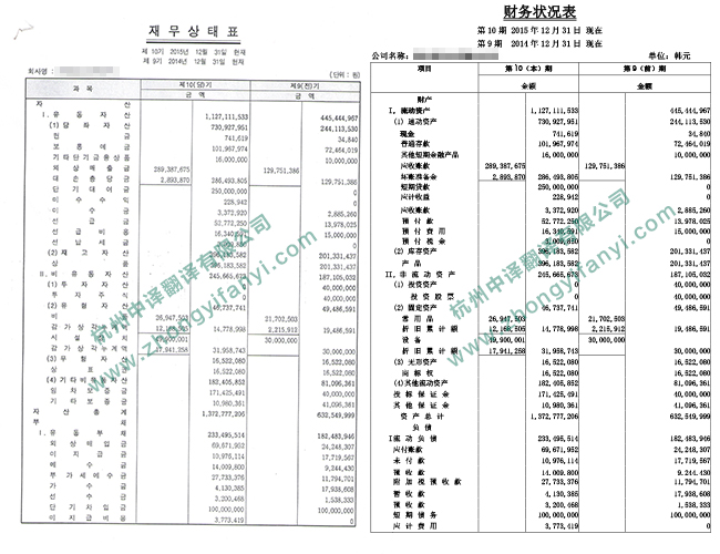 中譯杭州翻譯公司企業(yè)財務(wù)狀況報表翻譯件模板.jpg