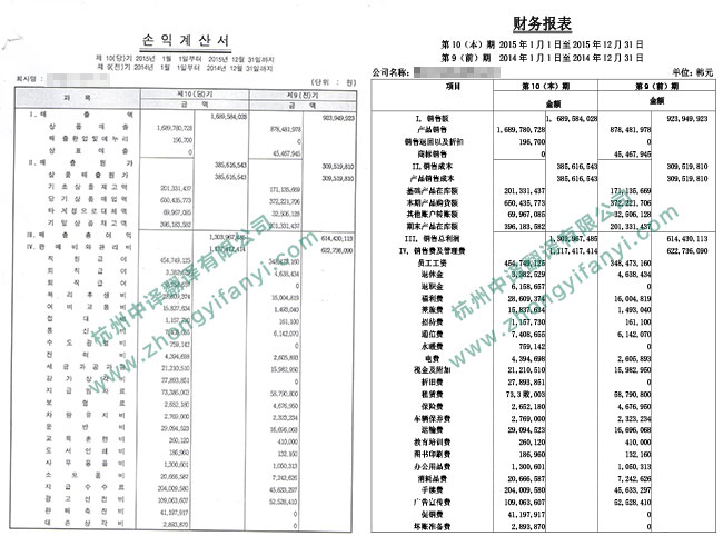 中譯杭州翻譯公司企業(yè)財務(wù)狀況報表翻譯件模板.jpg