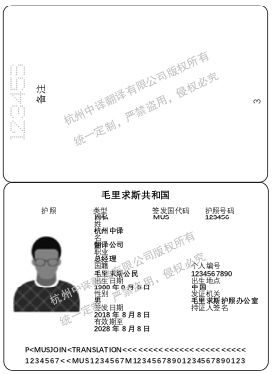 毛里求斯護照翻譯,杭州護照翻譯公司.png